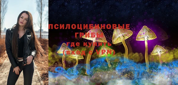 ECSTASY Михайловка