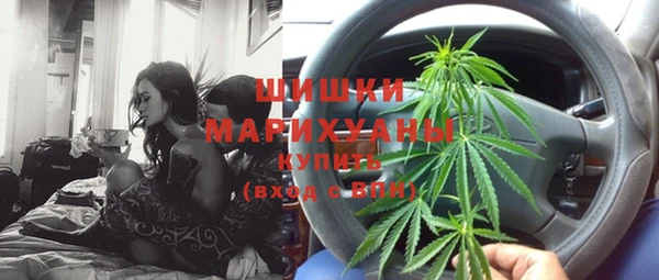 стаф Магас