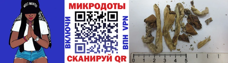 Галлюциногенные грибы прущие грибы Мосальск